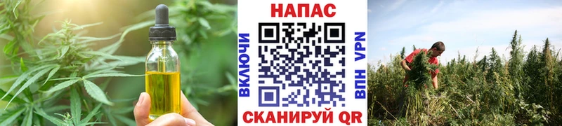 Купить где  Катайск  Еда ТГК марихуана 